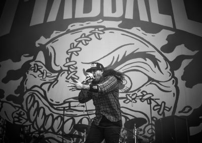 Madball, With Full Force 2018